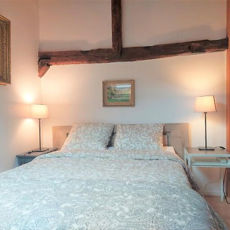 Chalet Charm In The Heart Of The Old Town 안시 외부 사진