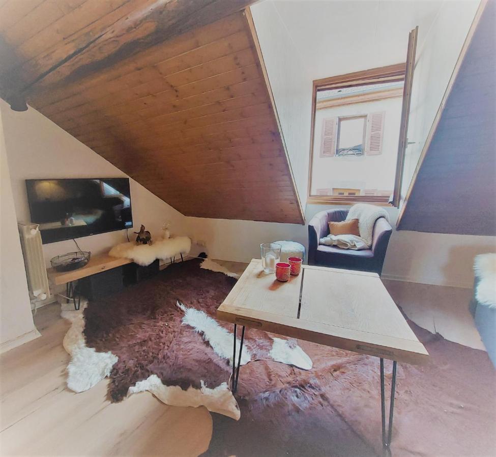 Chalet Charm In The Heart Of The Old Town 안시 외부 사진