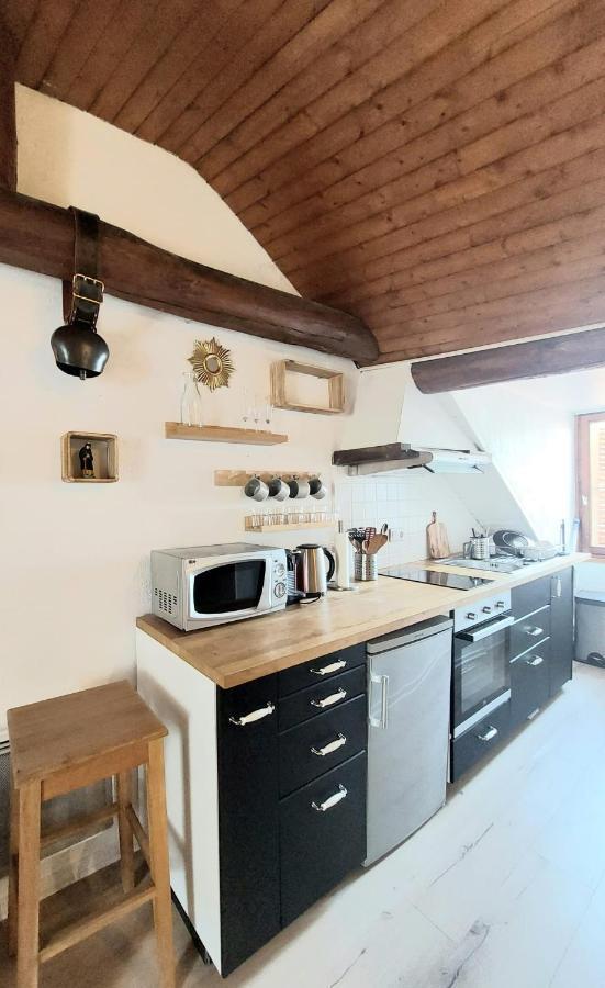 Chalet Charm In The Heart Of The Old Town 안시 외부 사진