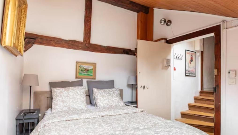 Chalet Charm In The Heart Of The Old Town 안시 외부 사진